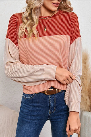 Cozy Ribbed Coloblock Long Sleeve Top